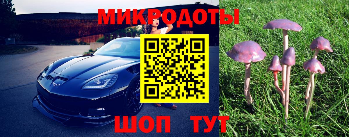 Галлюциногенные грибы Cubensis  Вход с VPN  Избербаш 