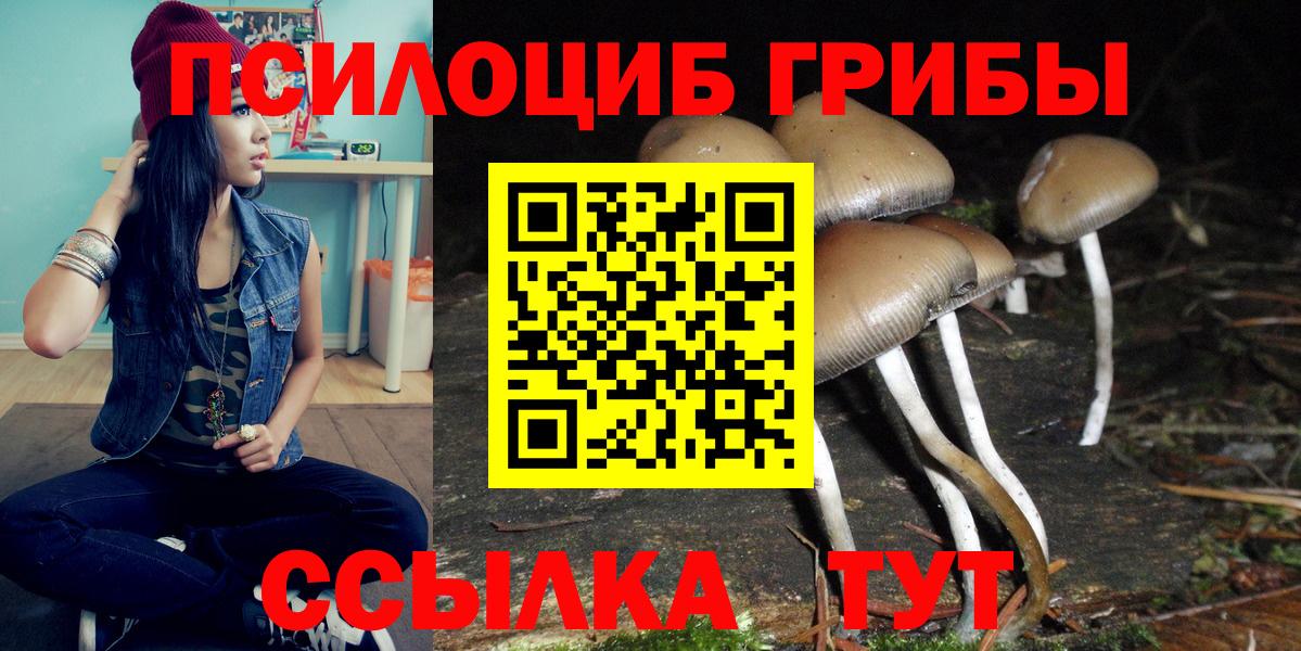 Псилоцибиновые грибы прущие грибы Избербаш